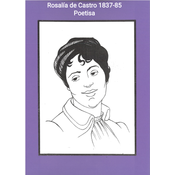 Deu comezo coa súa obra Cantares gallegos ao Rexurdimento, do que foi protagonista xunto a Eduardo Pondal e Manuel Curros Enríquez. Considérase unha das poetas máis destacadas do século XIX.