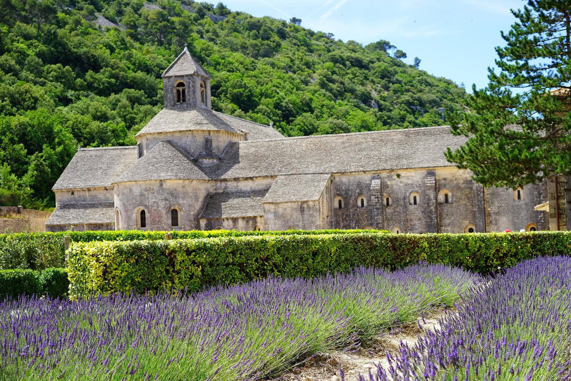 abadia  e campo de lavanda