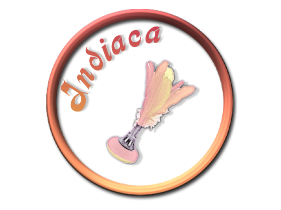 Logo Indiaca
