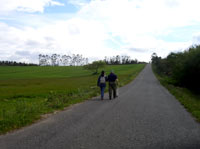 estrada nunha chaira, con dous camiñantes