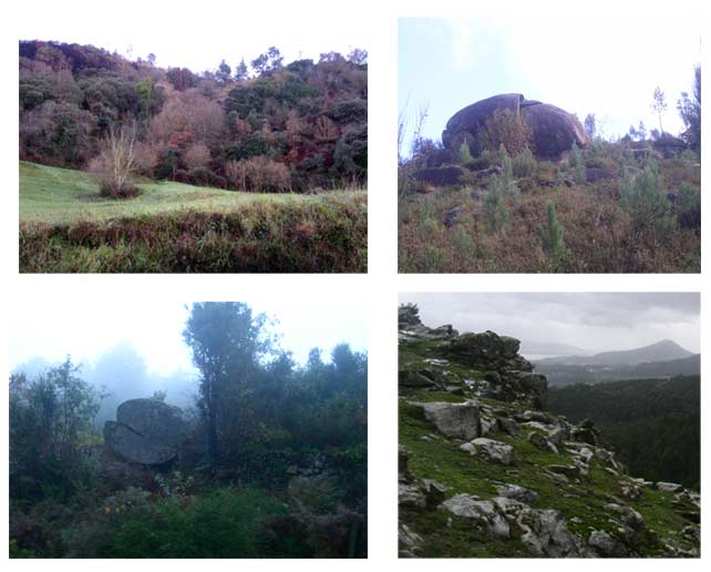 Catro fotografías de diferentes fragas