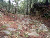 pegadas do carro nas pedras