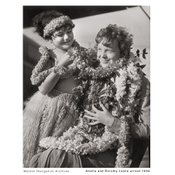 Amelia in Hawaii (CC-BY)