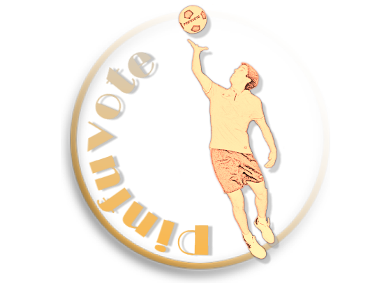Logo Pinfuvote