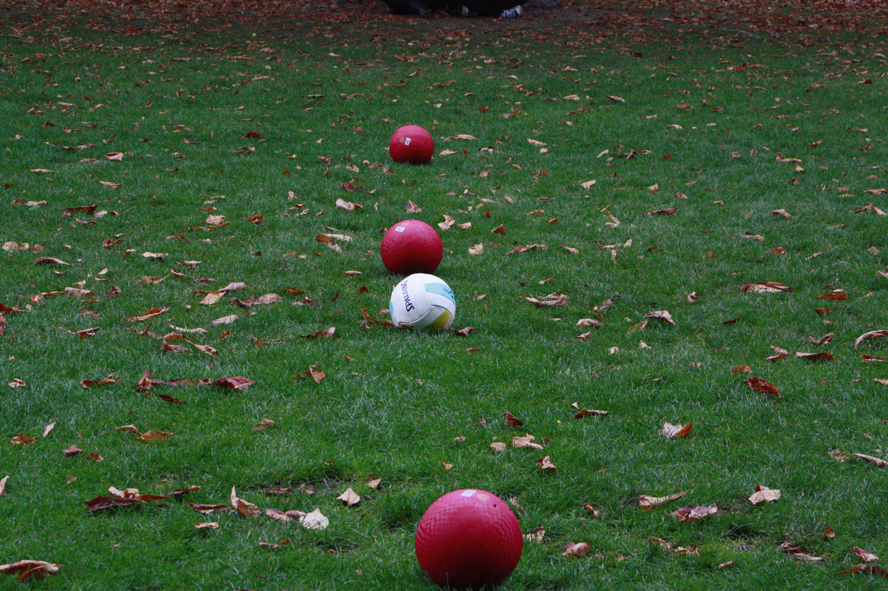 Materiais de Quidditch ou Quádbol