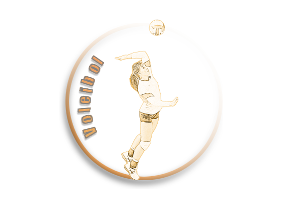 Logo Voleibol