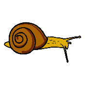 CARACOL