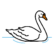 CISNE