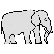 ELEFANTE