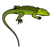 LAGARTO