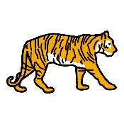 TIGRE