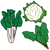 VERDURAS