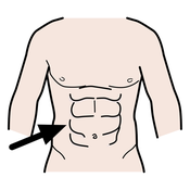 ABDOMINAL