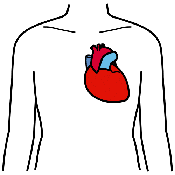 CORAZÓN