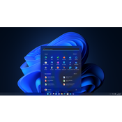 Escritorio Windows 11