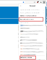 Borrar historial Mozilla