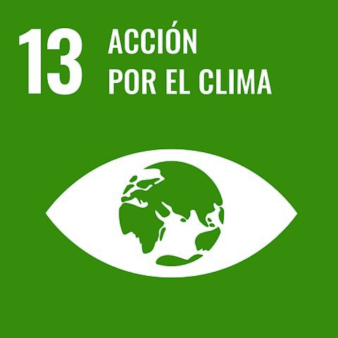 La imagen muestra el icono del Objetivo de Desarrollo Sostenible 13 Acción por el clima