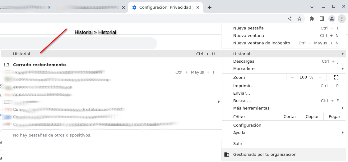 Historial en Mozilla Acceso al historial en Mozilla