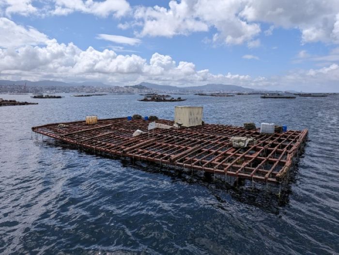 Batea en la ría de Vigo