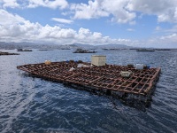 Batea en la ría de Vigo
