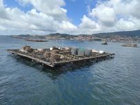 Batea de la ría de Vigo