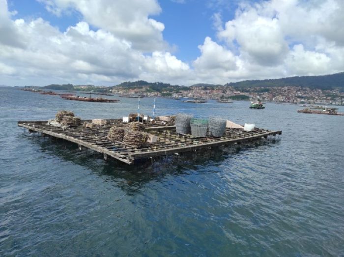 Batea de la ría de Vigo