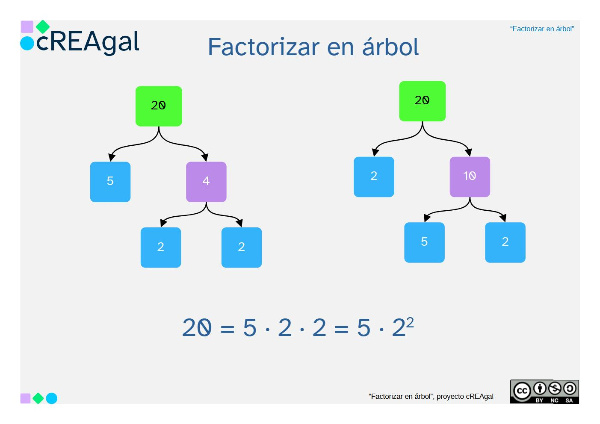 Esquema con ejemplo de factorización en árbol de 20 Esquema con ejemplo de factorización en árbol de 20