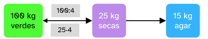 Esquema de los datos Esquema de los datos