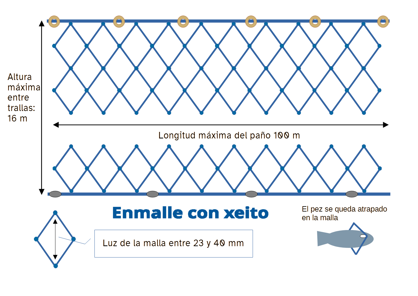 Red de enmalle con los límites para la pesca de xeito Red de enmalle con los límites para la pesca de xeito