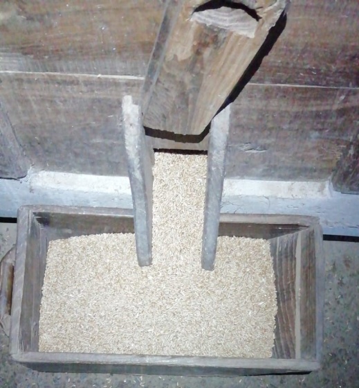 Salvado Salvado cayendo a través de la tolva a un ferrado