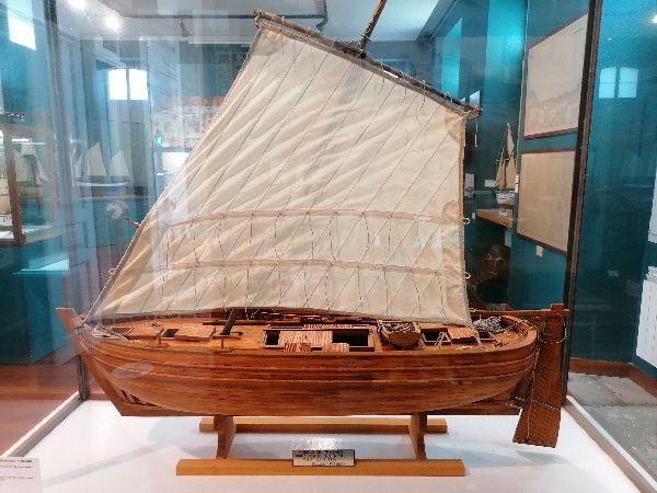 Trincado. Museo del Mar de San Cibrao