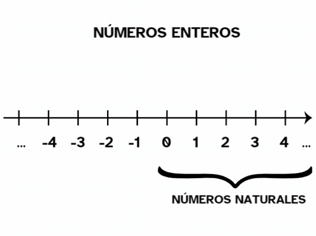 Animación recta numérica