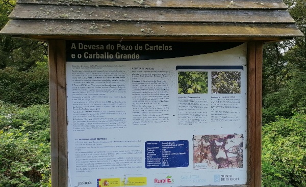 Panel del Carballo de Cartelos Panel del Carballo de Cartelos