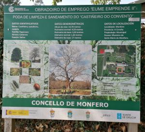 Panel del Castaño del Convento en Monfero Panel del Castaño del Convento en Monfero