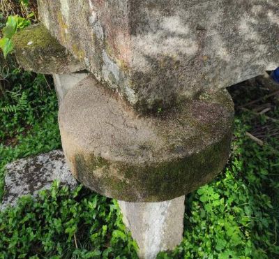 Tornarratos con forma cilíndrica