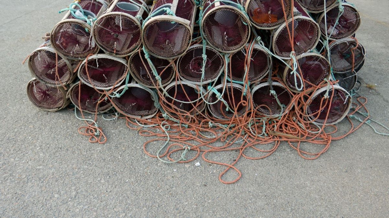 Nasas Foto de unas nasas para pescar