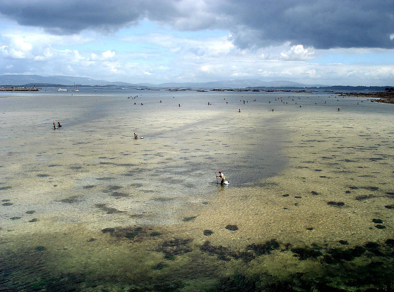 esercito_della_luna_-_Isla_de_la_Toja_ Foto del mar con varias mariscadoras mariscando