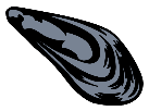 Mejillón