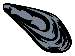 Mejillón