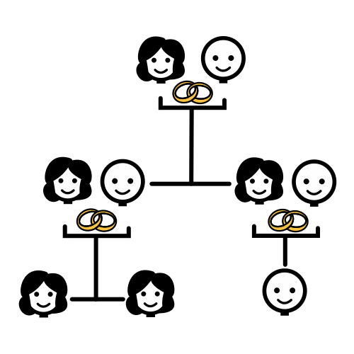 Árbol genealógico Árbol genealógico