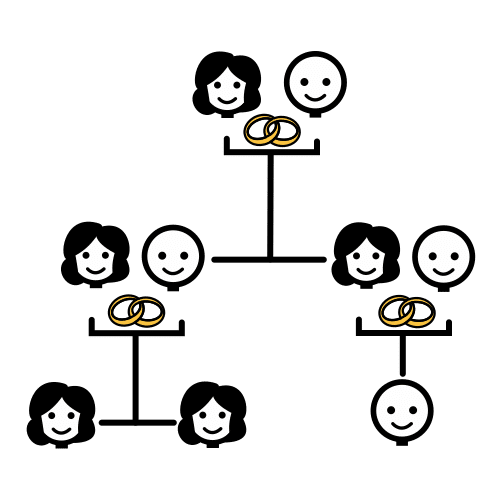 Imagen no relevante para la comprensión del texto. Árbol genealógico de tres etapas, una pareja con dos hijos, cada uno de los hijos con la pareja y esas parejas una tiene dos hijas y la otra un hijo solo