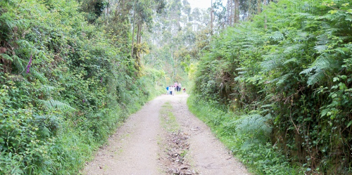 Fotografía dun camiño