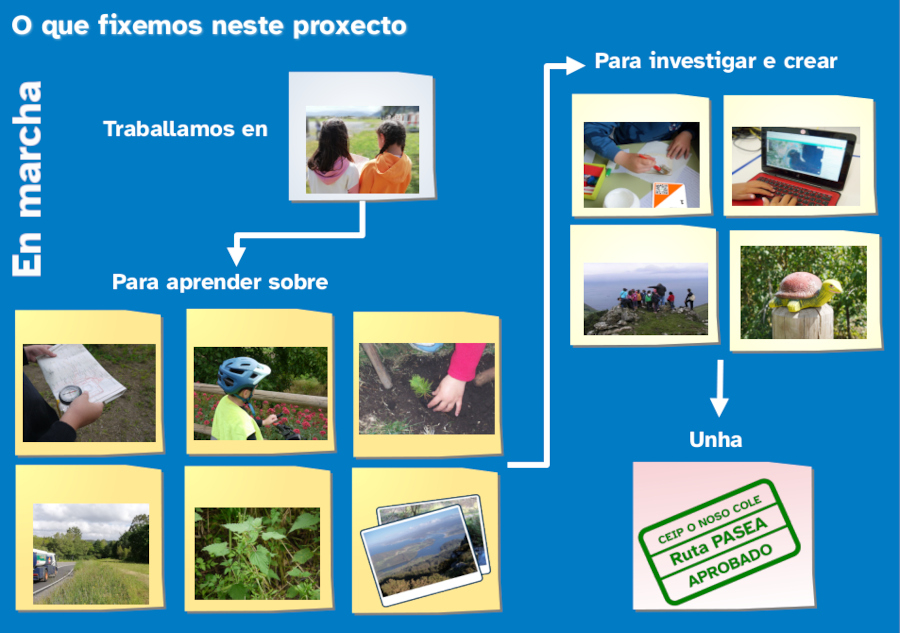 O que fixemos Infografía do que se traballou neste proxecto