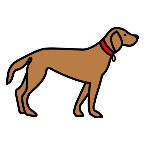 Ilustración dun can