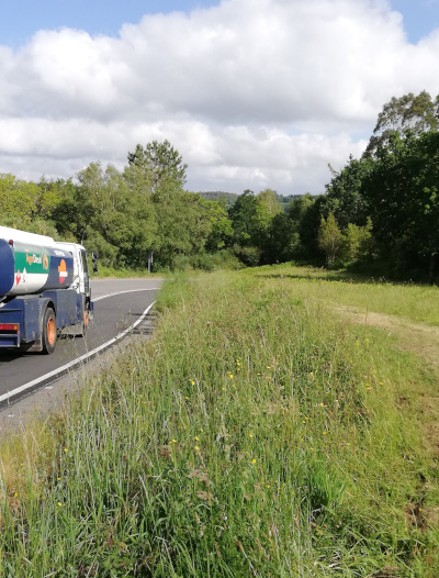 Sendeiro xunto a unha estrada.