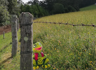 Peche de finca perigoso