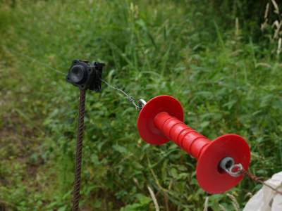 Peche con pastor eléctrico