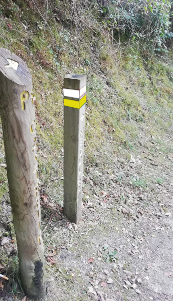 Fotografía da sinalización dun sendeiro coas cores de sendeiro de pequeno percorrido de 