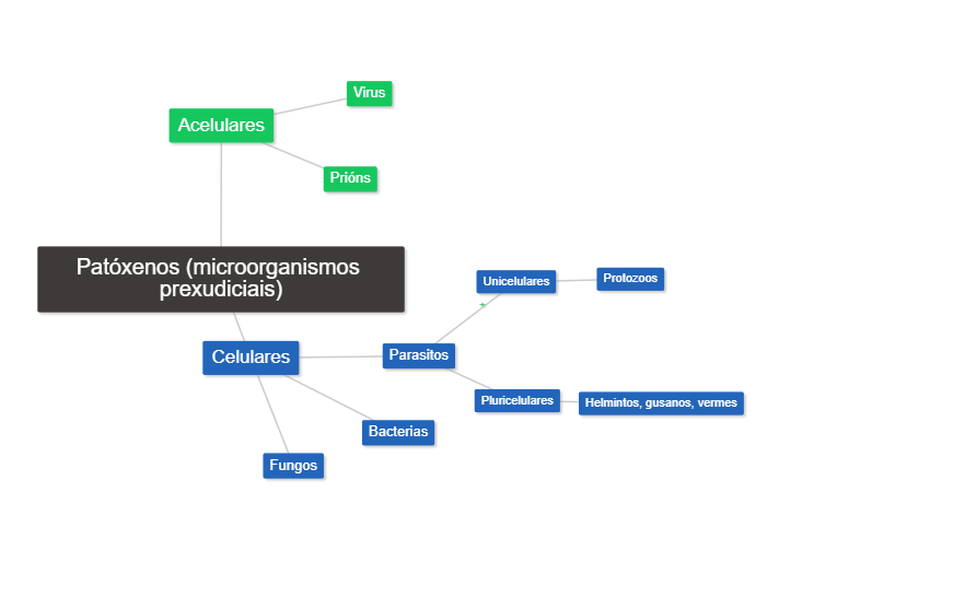 Mapa mental tipos de patóxenos