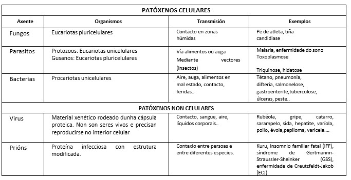 Táboa características patóxenos